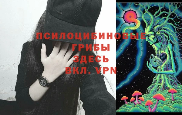 прущие крисы Алексеевка